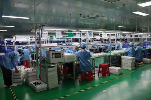 2025年东莞民营企业家日丨虎门青年企业家走访标杆企业 社会经济咨询服务