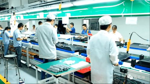 北海市深入贯彻落实“十六字”工作方针 以优质社会经济咨询服务推动高质量发展