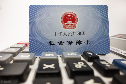 社保查询方法与中断影响详解——社会经济咨询服务指南