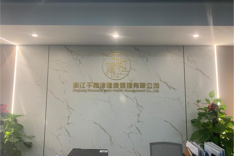 健康咨询与社会经济咨询的融合 现代服务的多维度价值